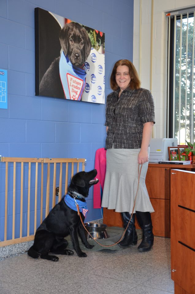 390155_379825225431087_1977094960_n Oakland Veterinary Referral