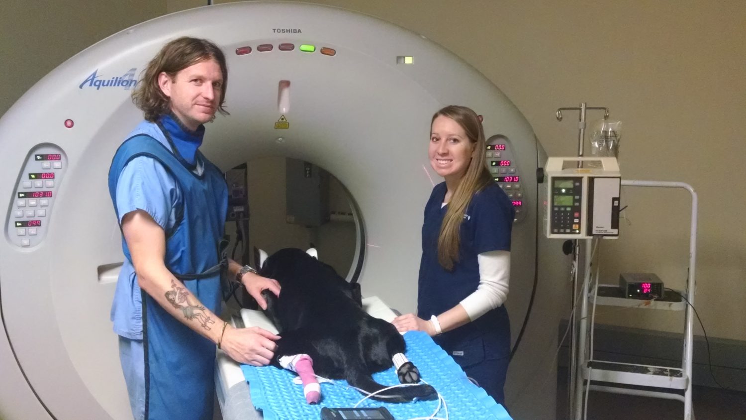 Vettechs8.jpg Oakland Veterinary Referral Services Oakland