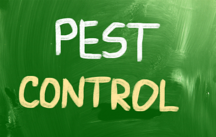 Pest Control Concept