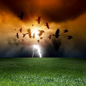 Dramatic landscape