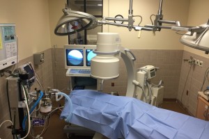 fluoroscopy_zpskwtaolv4