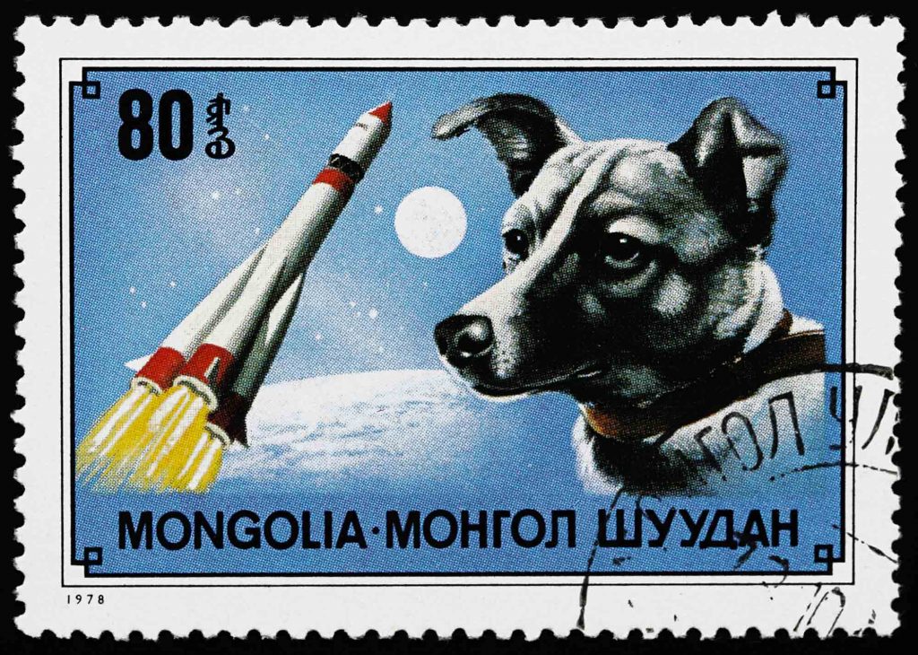 Laika the Great Space Dog: The True Story of a Hero Pup | Oakland  Veterinary Referral Services