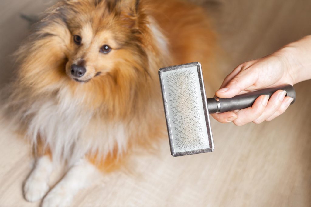 does hair keep dog cool