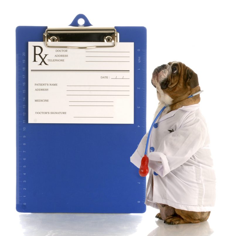 Frequently Asked Questions about Pet Medications Oakland Veterinary