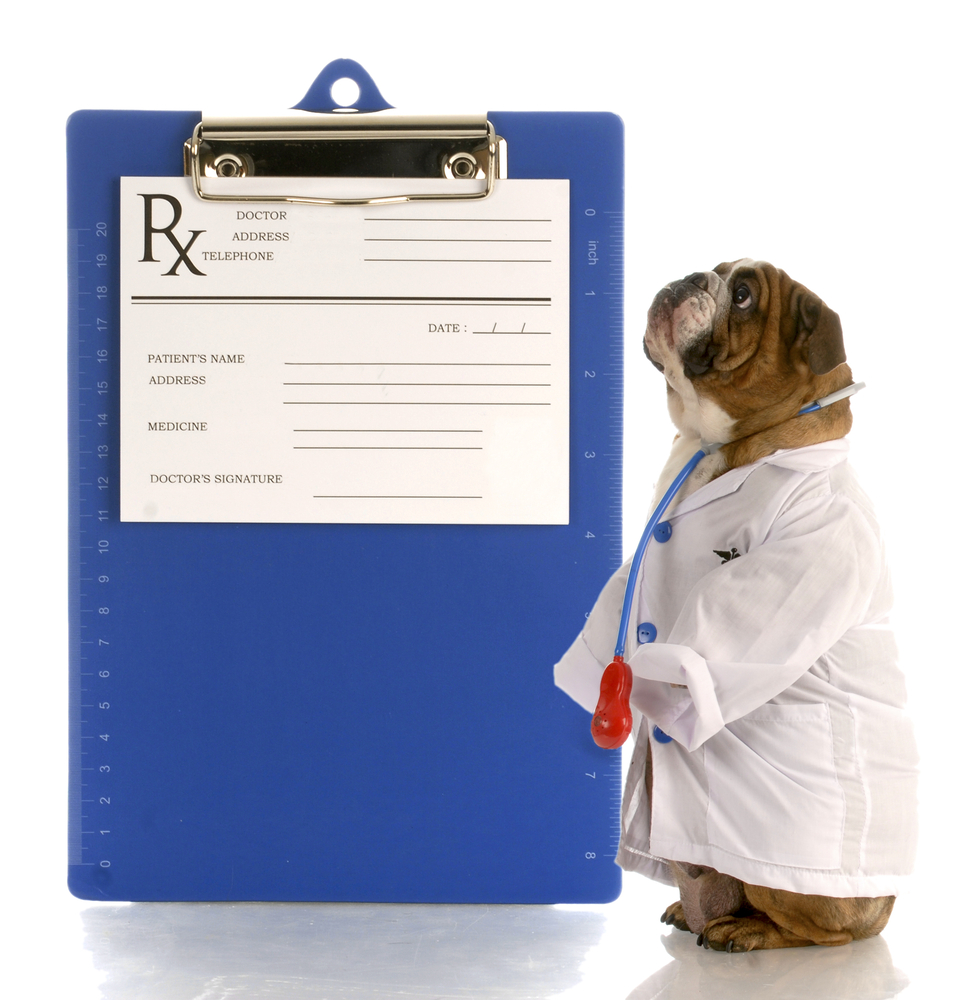 dog prescription medications