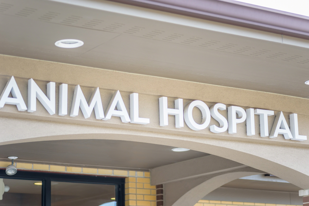 specialty animal hospitals near me