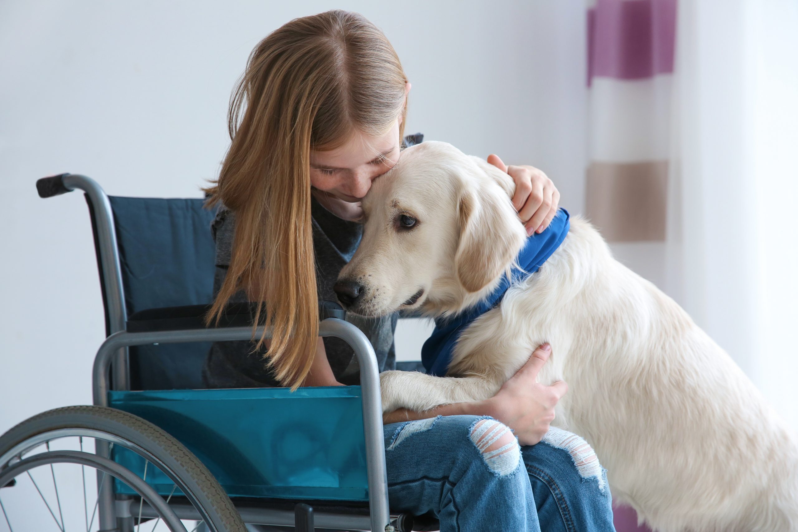 Transforming Lives: 7 Amazing Ways Pets Help Children with Disabilities |  Oakland Veterinary Referral Services