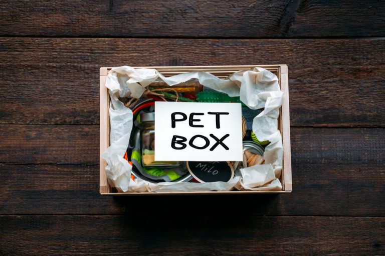 The Best Cat and Dog Subscription Boxes for Your Pet Oakland