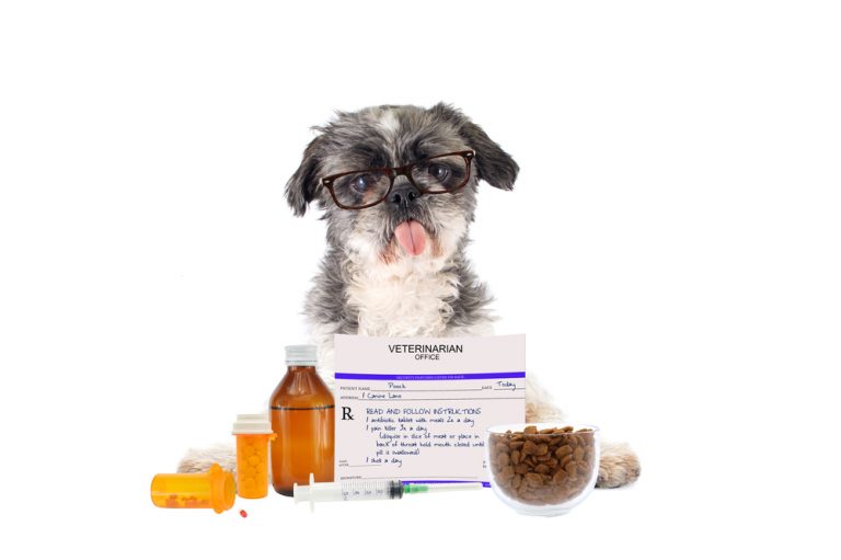 Pet Owners How to Dispose of Unused Medications Oakland Veterinary
