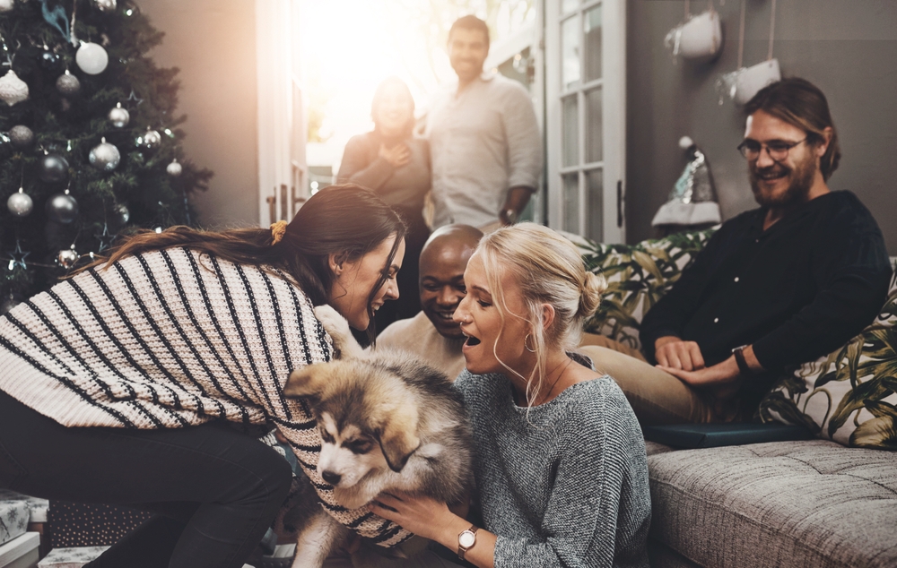 holiday guests with pets