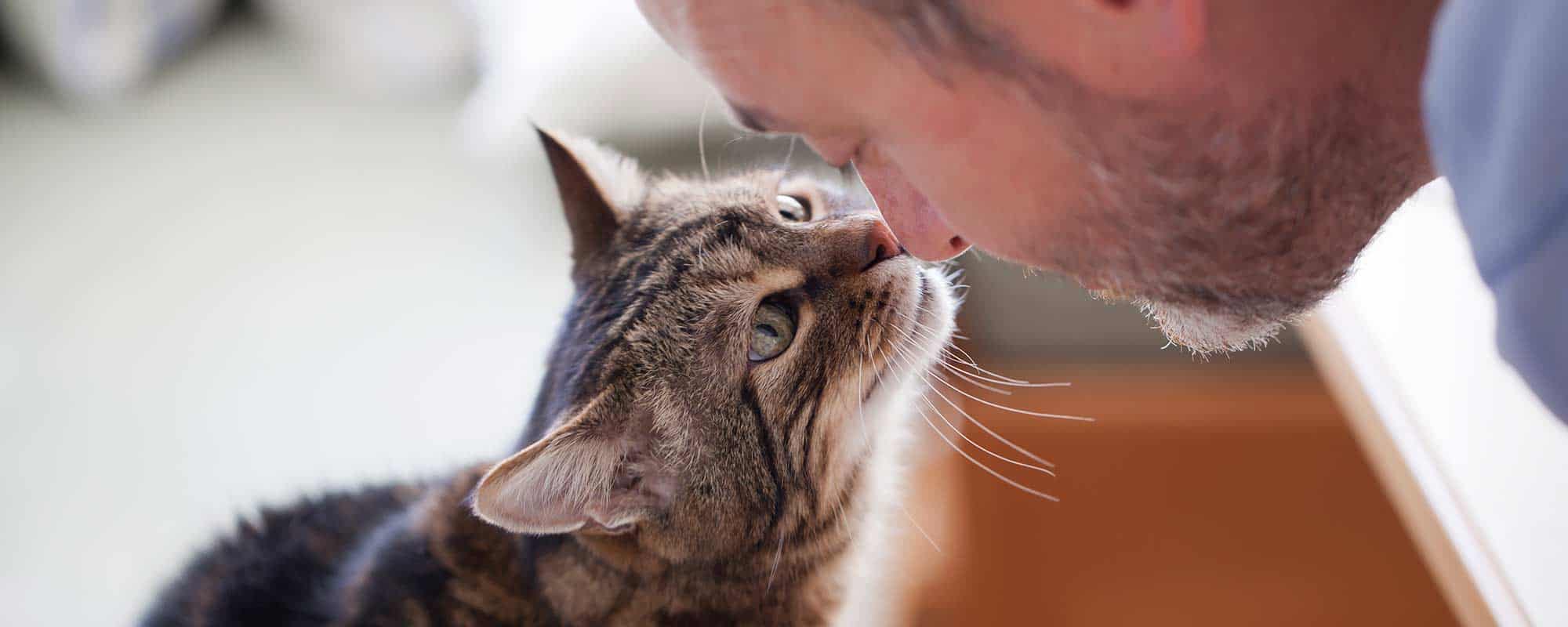 Human Pet Connection