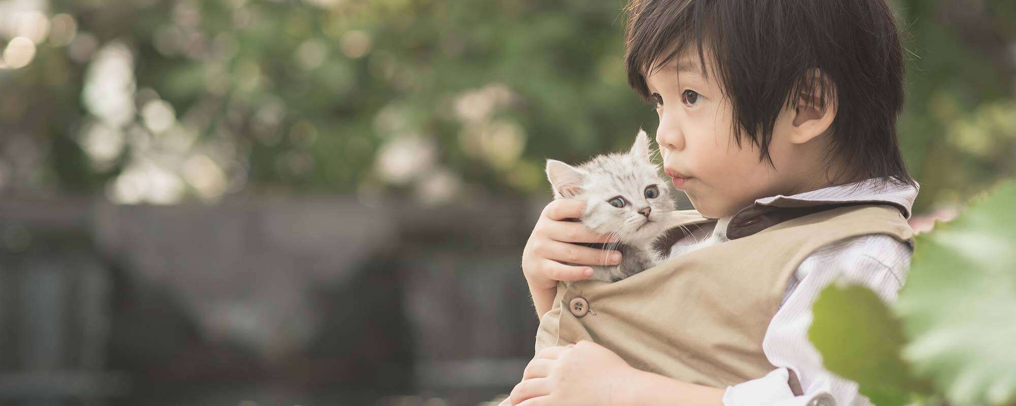 Human Pet Connection