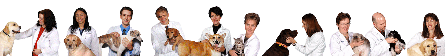 OVRS veterinarians with pets